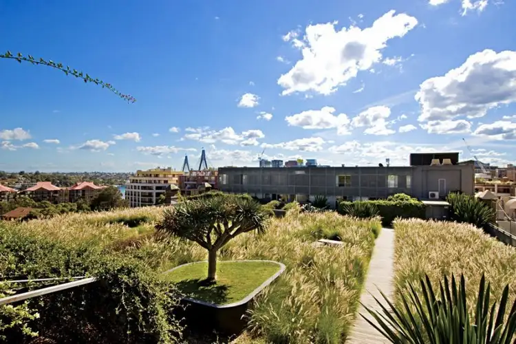 Sixth view of Homely apartment listing, 110/380 Harris Street, Pyrmont NSW 2009