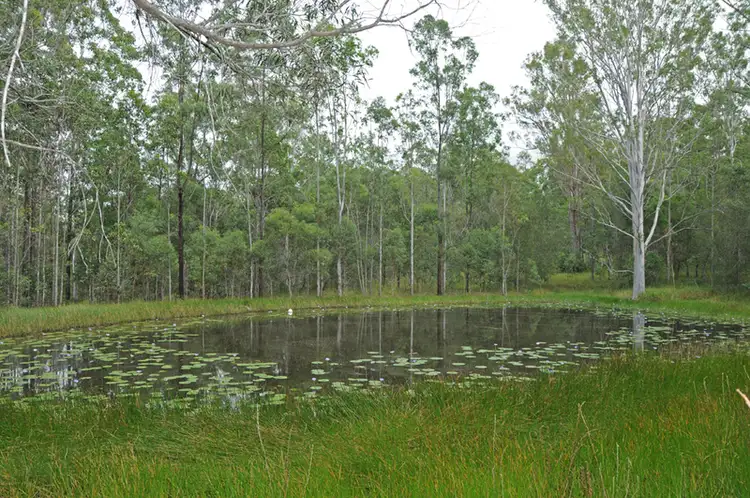 Fourth view of Homely rural property listing, 3301 Summerland Way, Gurranang NSW 2460