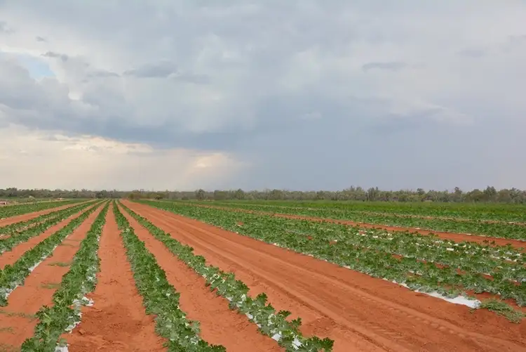 Seventh view of Homely rural property listing, 206 Paringi Road, Paringi NSW 3500