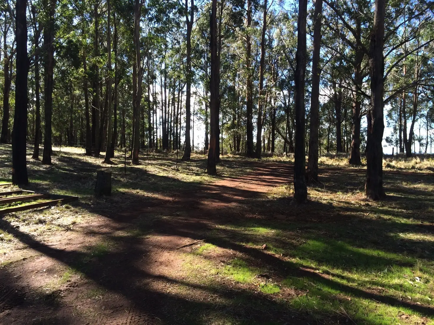 Main view of Homely rural property listing, 70 Braidwood Road, Sassafras NSW 2622