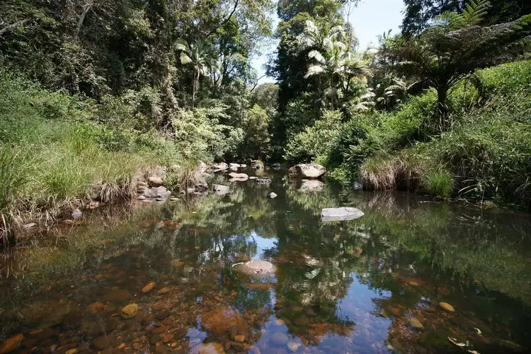 Fifth view of Homely rural property listing, Lot 3 Wanganui Road, Wanganui NSW 2482