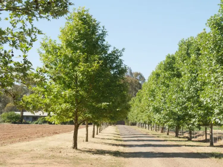 Sixth view of Homely rural property listing, 130 Laws Drive, Kialla VIC 3631