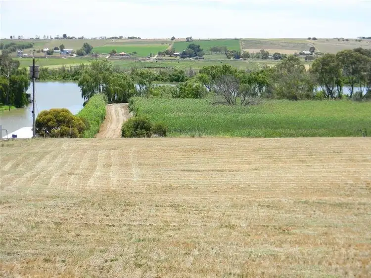 Seventh view of Homely rural property listing, 10-1155 Jervois Road, Murray Bridge SA 5253