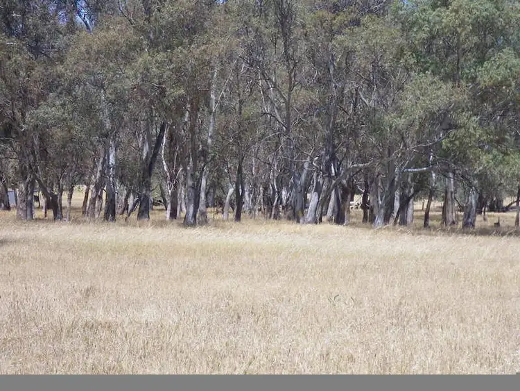 Second view of Homely rural property listing, Lot 3 Laura/Pirie Road, Laura SA 5480