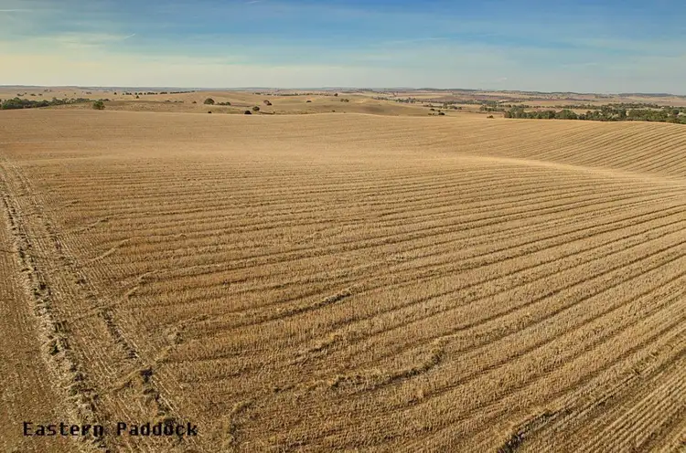 Main view of Homely rural property listing, 480, 481 & 495 Thiele Highway, Kapunda SA 5373