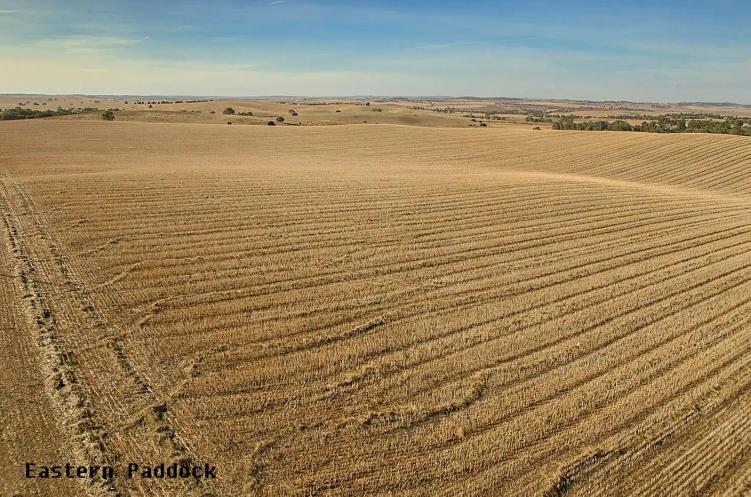 Main view of Homely rural property listing, 480, 481 & 495 Thiele Highway, Kapunda SA 5373