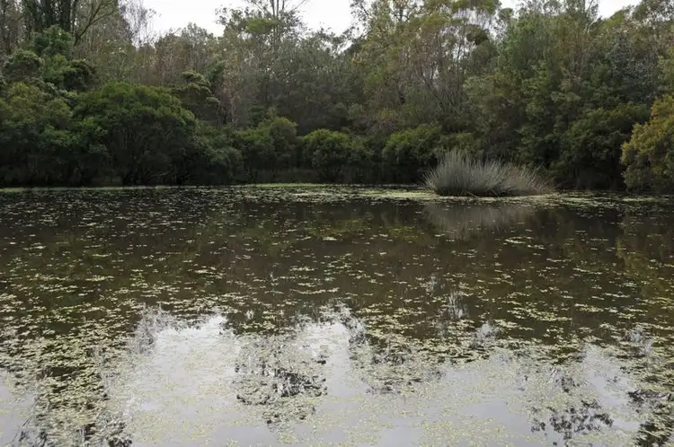 Fourth view of Homely rural property listing, Lot 51 Summerland Way, Gurranang NSW 2460