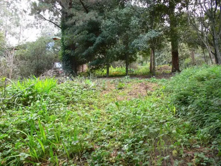 25 Wright Avenue, Upwey VIC 3158