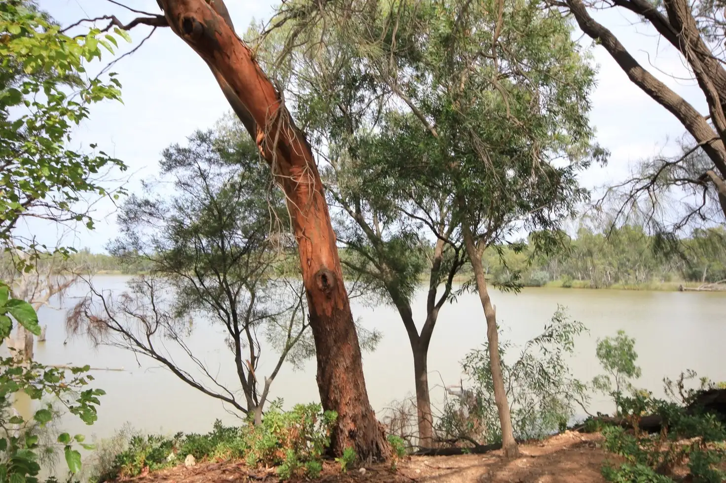 Main view of Homely rural property listing, Lot/2 Riverview Rise, Gol Gol NSW 2738