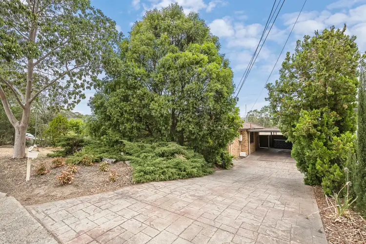 Main view of Homely house listing, 20 Grove Street, Modbury SA 5092