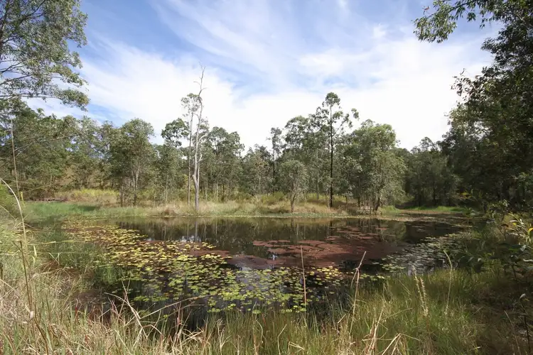 Third view of Homely rural property listing, 440 Diamondfield Road, Kandanga QLD 4570