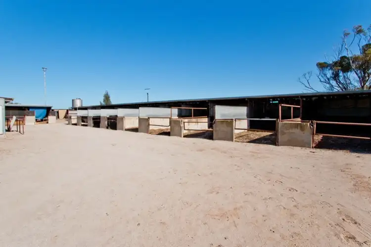 Sixth view of Homely rural property listing, 43 Tozer Road, Waterloo Corner SA 5110