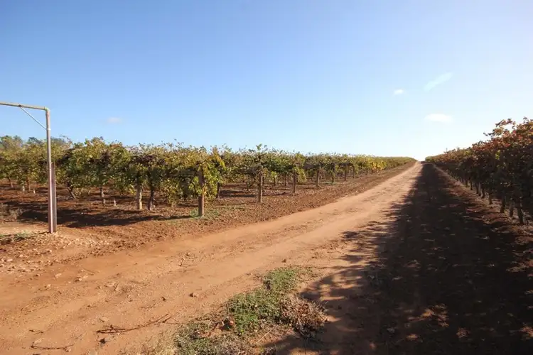 Third view of Homely rural property listing, Lot 1 Pascendale Avenue, Yelta VIC 3505