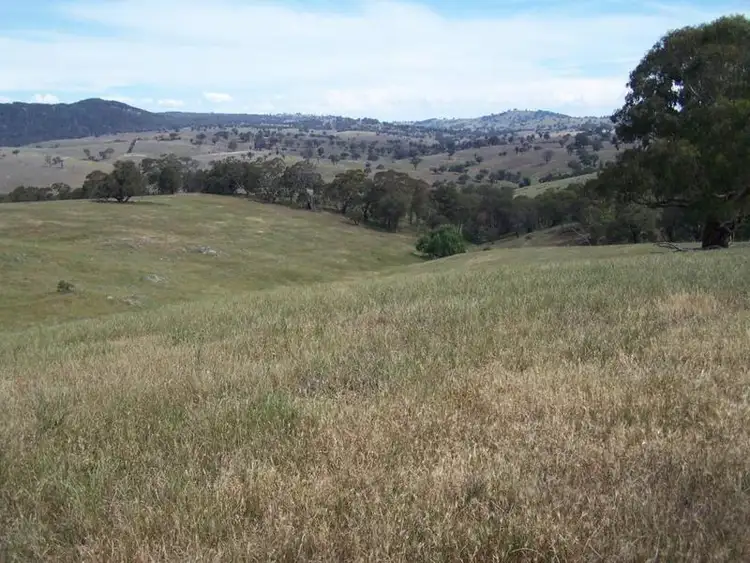 Main view of Homely rural property listing, 141 Blackmans Road, Bigga NSW 2583
