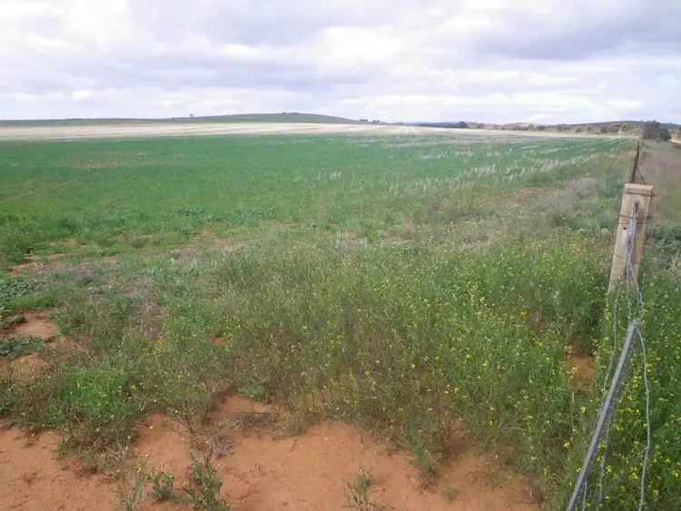 Fifth view of Homely rural property listing, Gladstone Caltowie Road, Gladstone SA 5473