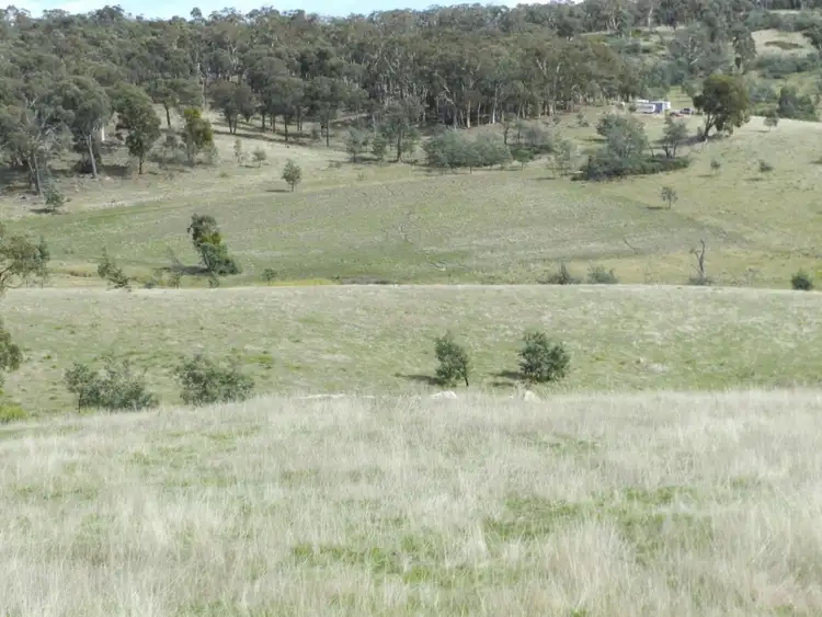 Seventh view of Homely rural property listing, 1252 Kangaloolah Road, Binda NSW 2583