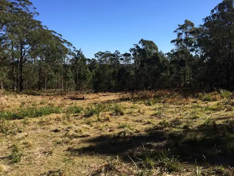 Second view of Homely rural property listing, 70 Braidwood Road, Sassafras NSW 2622