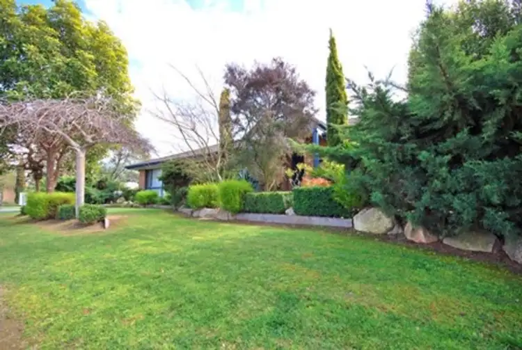 Third view of Homely house listing, 41 Mokoan Avenue, Kialla VIC 3631