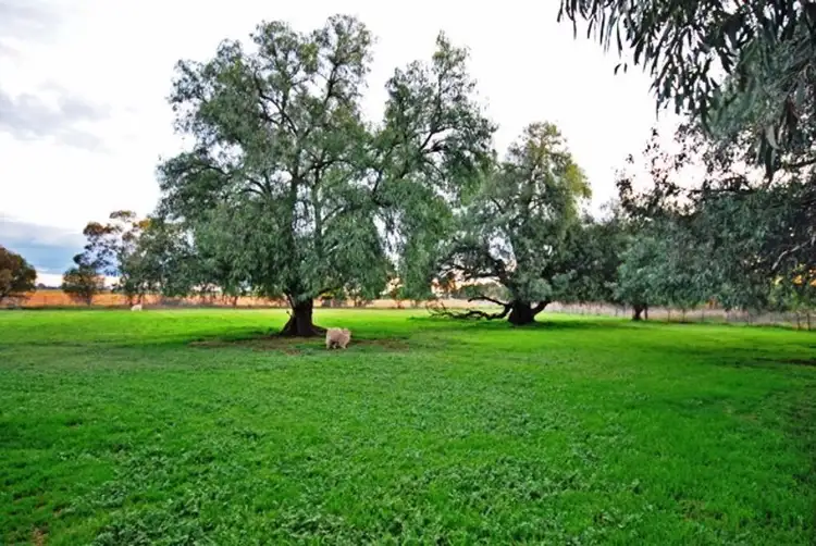 Main view of Homely rural property listing, 205 Kennedys Road, Arcadia VIC 3631