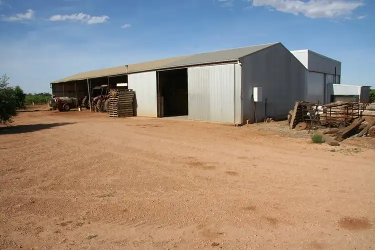 Fourth view of Homely rural property listing, 124-125 Seventh Street, Merbein South VIC 3505