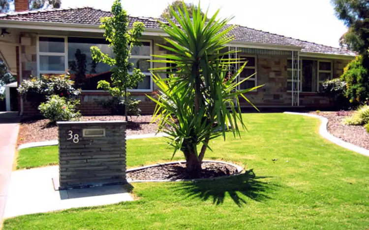 Main view of Homely house listing, 38 Valley View Drive, Highbury SA 5089
