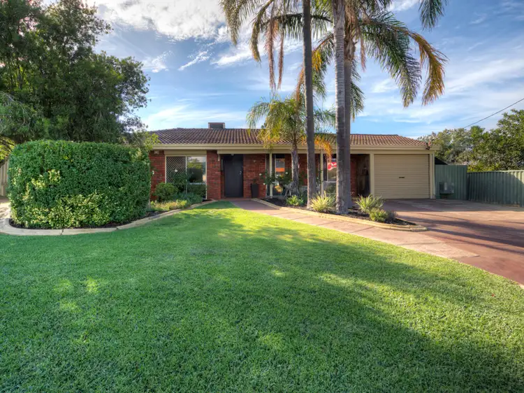 19 Strelitzia Avenue, Forrestfield WA 6058