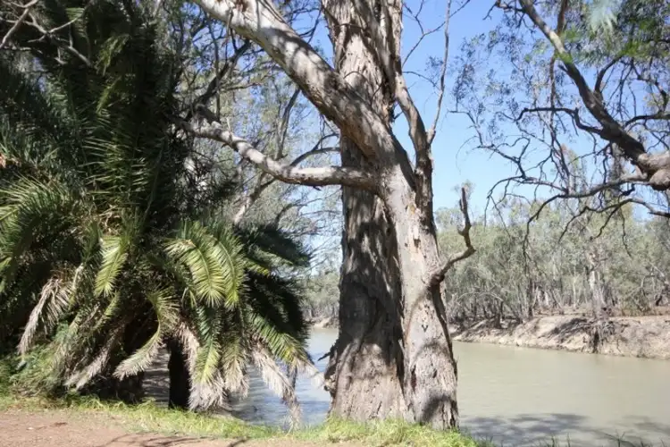 Second view of Homely house listing, 12 Cally Street, Balranald NSW 2715