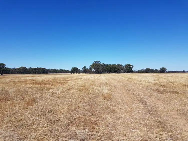 Second view of Homely rural property listing, 445 Kelly's Road, Numurkah VIC 3636