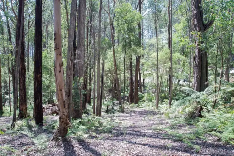 Second view of Homely land listing, 19 Lyrebird Avenue, East Warburton VIC 3799