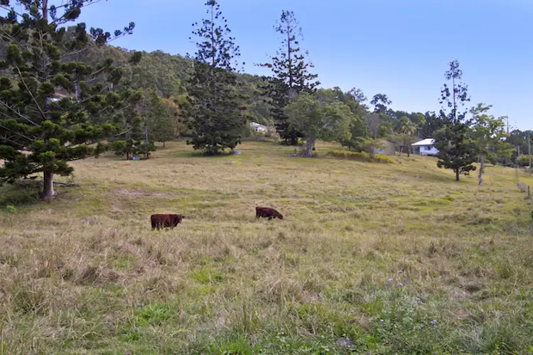 Sixth view of Homely rural property listing, 23 Robinsons Road, Piggabeen NSW 2486