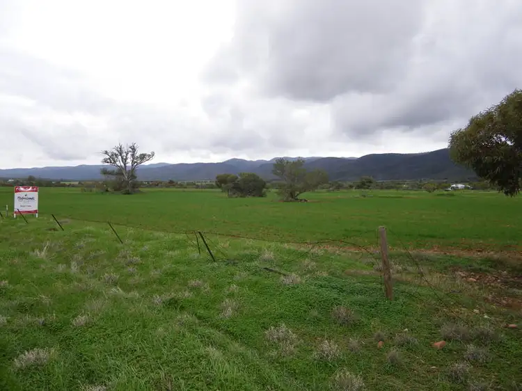 Third view of Homely rural property listing, Lot 15 Muster Drive, Napperby, Port Pirie SA 5540