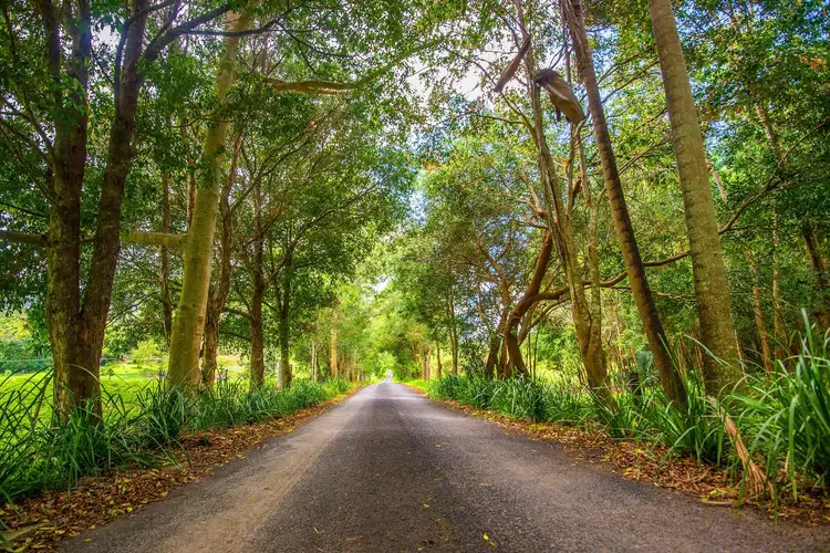 Sixth view of Homely rural property listing, Lot 8/46 Durrumbul Road, Main Arm NSW 2482