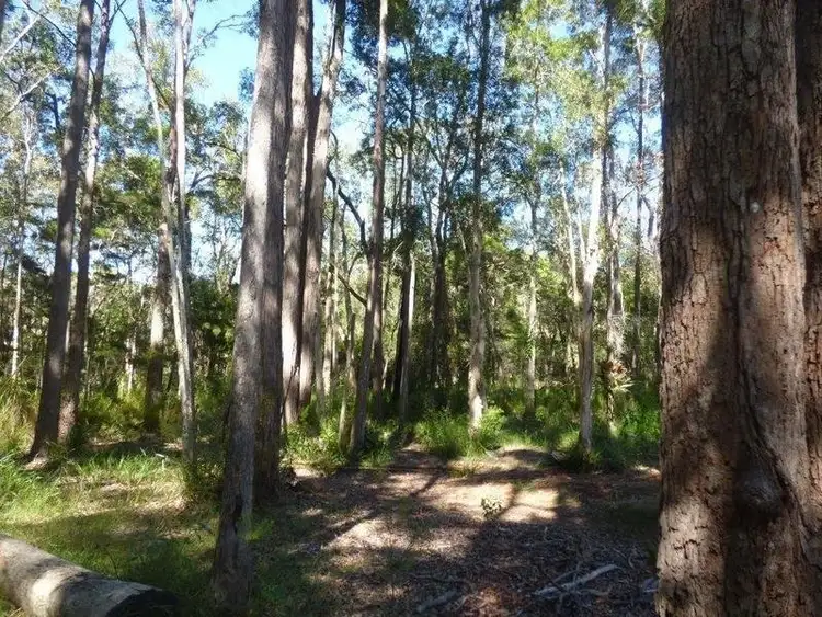 Fifth view of Homely rural property listing, 54 Little Creek Road, Cooroibah QLD 4565