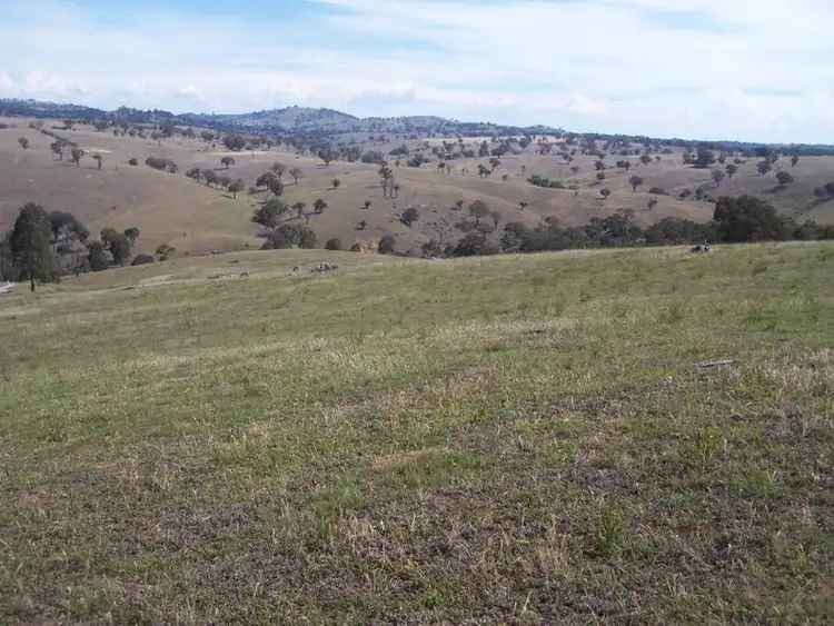 Third view of Homely rural property listing, 141 Blackmans Road, Bigga NSW 2583