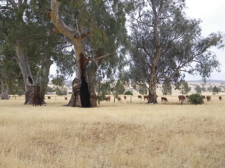 Sixth view of Homely rural property listing, Lot 3 Laura/Pirie Road, Laura SA 5480
