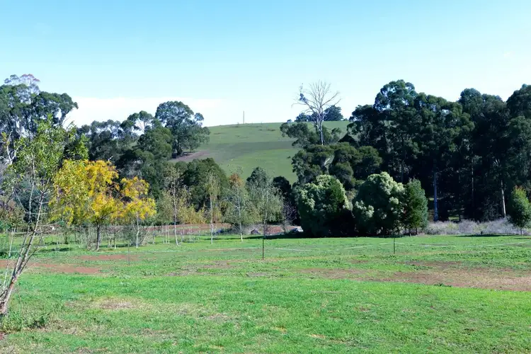 Third view of Homely house listing, 59 Lewis Road, Hoddles Creek VIC 3139