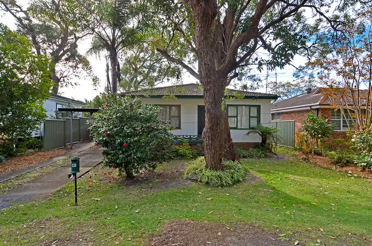 12 Balaclava Avenue, Woy Woy NSW 2256