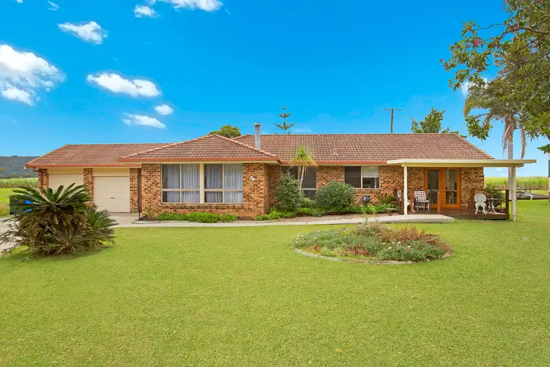 Main view of Homely house listing, 91 Riverbank Road, Pimlico NSW 2478