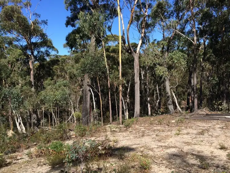 Second view of Homely rural property listing, 167 Meangora Road, Nerriga NSW 2622