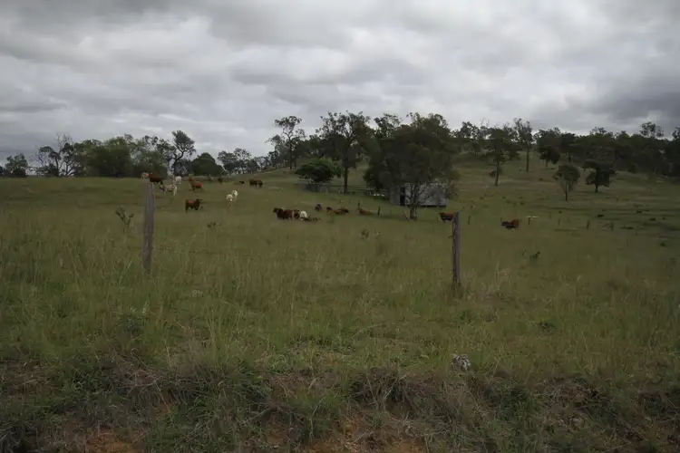Second view of Homely rural property listing, Lot 39, 2449 Kilkivan Tansey Road, Cinnabar QLD 4600