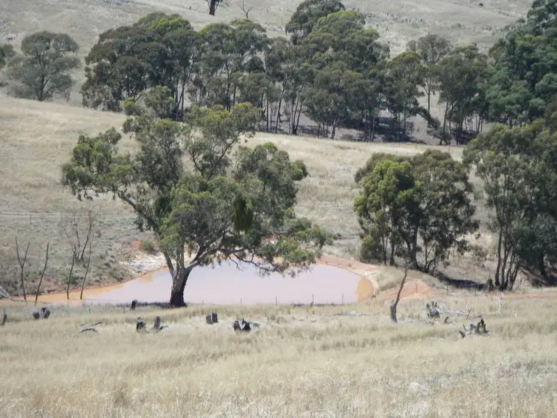 Main view of Homely rural property listing, Mills Road, Beetaloo Valley, Laura SA 5480