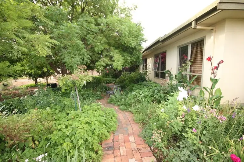 Main view of Homely rural property listing, 7 Leachs Road, Red Cliffs VIC 3496