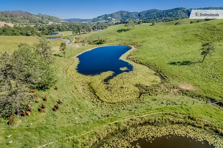 Seventh view of Homely rural property listing, 14 Sankeys Road, Federal QLD 4568