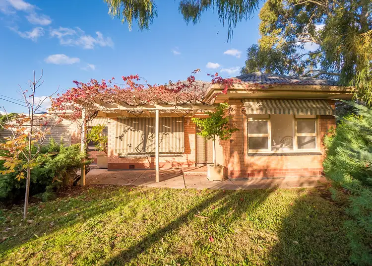 Second view of Homely house listing, 41 Liascos Avenue, Newton SA 5074