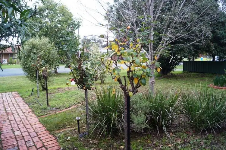 Third view of Homely house listing, 31 Bartlett Street, Tatura VIC 3616