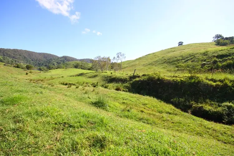 Fourth view of Homely rural property listing, 350 Upper Pinbarren Creek Road, Pinbarren QLD 4568