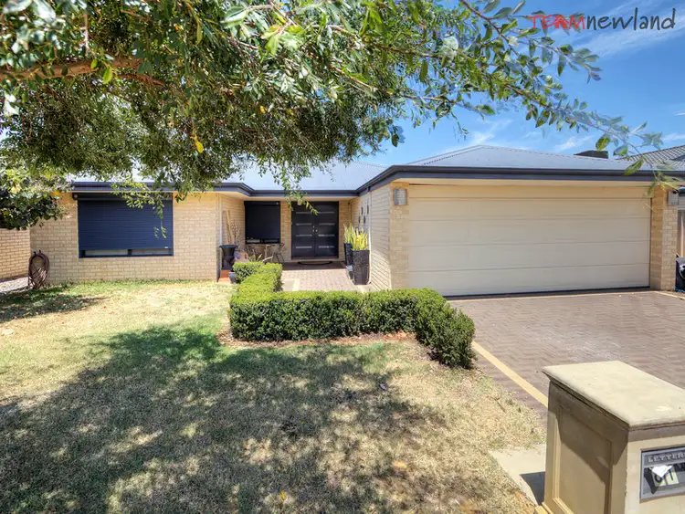 Main view of Homely house listing, 81 Sheffield Road, Wattle Grove WA 6107