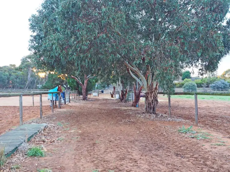 Third view of Homely rural property listing, 11 Coolibah Drive, Murray Bridge SA 5253