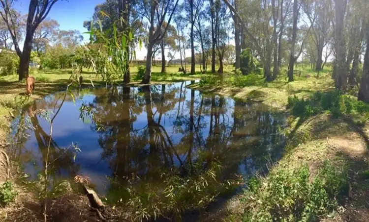 Third view of Homely rural property listing, 1283 Toolamba Road, Toolamba VIC 3614