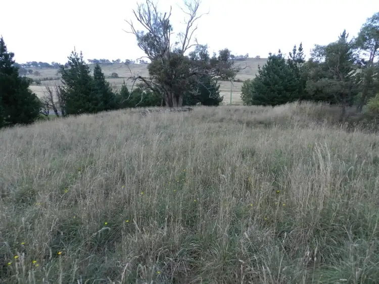 Sixth view of Homely land listing, Lot 11 Cnr Queen & Bell Street, Binda NSW 2583